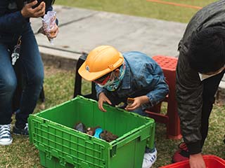 Paquete Básico Paquete Básico